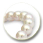 Pulsera Perlas de Akoya, 18 cm 7-7.5 mm, blancas, AAA